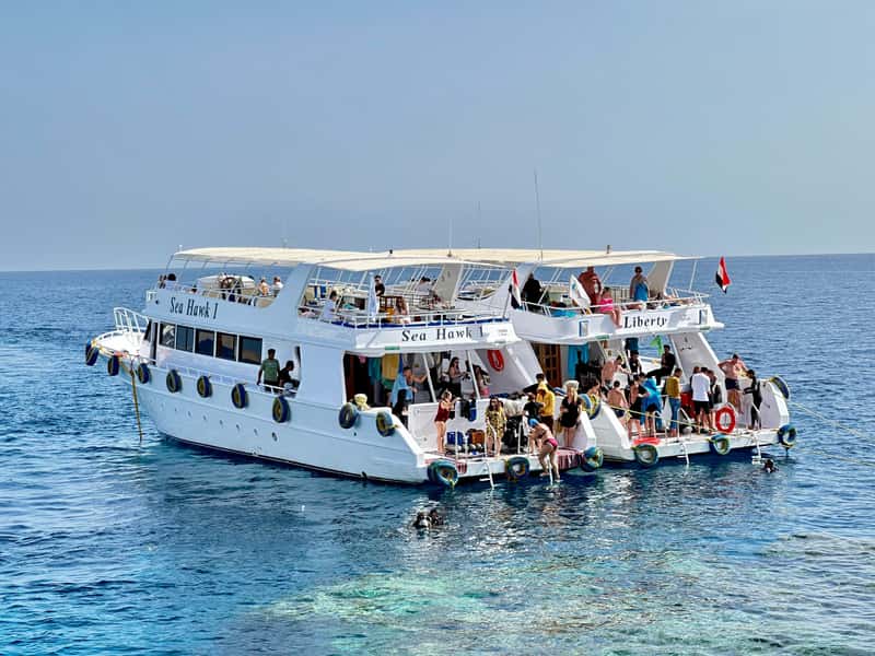 Sharm: Early Access — White Island & Ras Mohammed Boat Cruise
