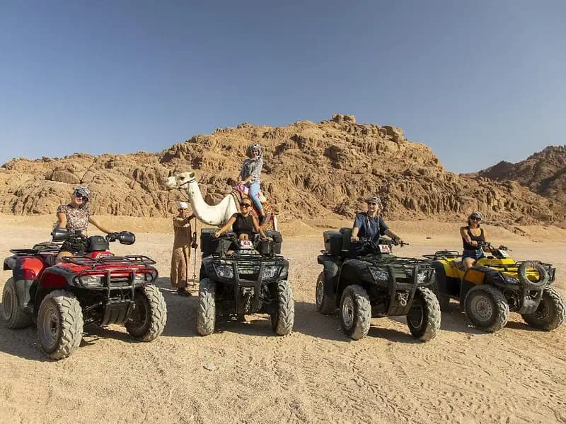 Sharm El Sheikh: Quad Biking & Camel Ride with Pickup