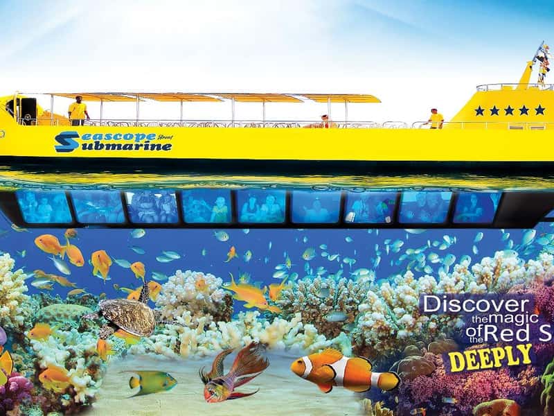 Sharm El Sheikh: Glass Bottom Boat Coral Reef Tour